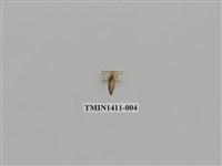 藏品(夜蛾科)的圖片